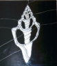 Turmschnecke