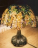 Laburnum